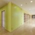 1階廊下<br />
園児たちが感覚的に階を認識しやすいよう壁色を変化。